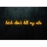Neon Led "Bitch don´t kill my vibe" lightsandwires