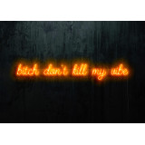 Neon Led "Bitch don´t kill my vibe" lightsandwires