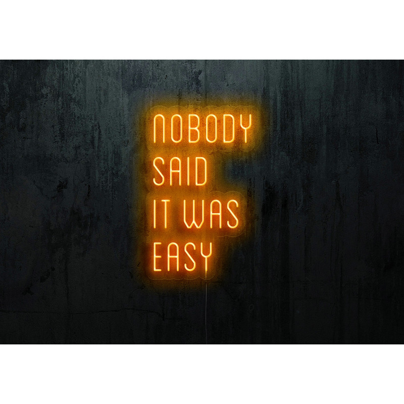 Neón Led "Nobody said it was easy" lightsandwires