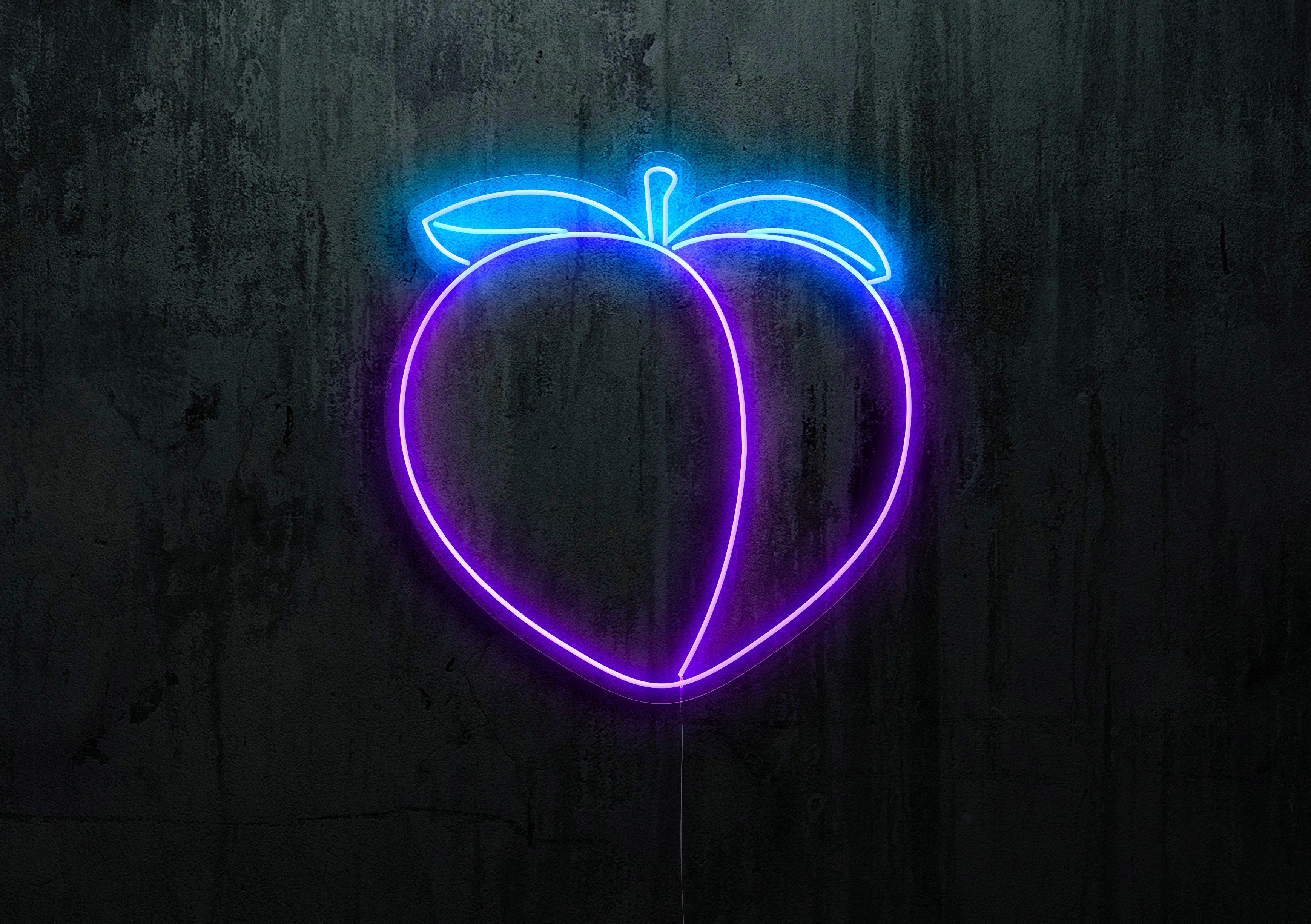 NEON LED MELOCOTON LIGHTSANDWIRES