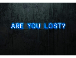 NEON LED ARE YOU LOST,LIGHTSANDWIRES (1)