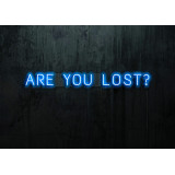 NEON LED ARE YOU LOST,LIGHTSANDWIRES (1)