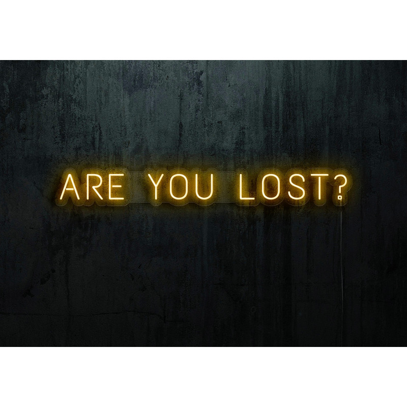 NEON LED ARE YOU LOST,LIGHTSANDWIRES (1)