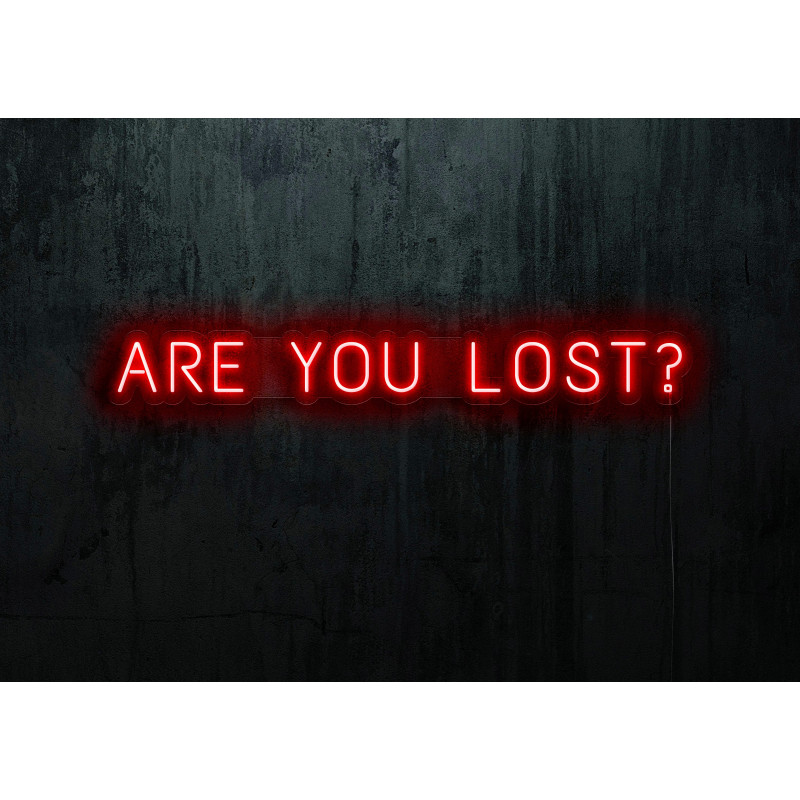 NEON LED ARE YOU LOST,LIGHTSANDWIRES (1)