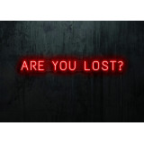 NEON LED ARE YOU LOST,LIGHTSANDWIRES (1)