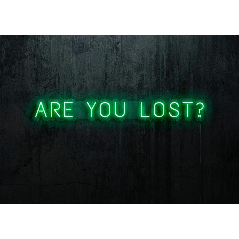 NEON LED ARE YOU LOST,LIGHTSANDWIRES (1)