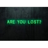 NEON LED ARE YOU LOST,LIGHTSANDWIRES (1)