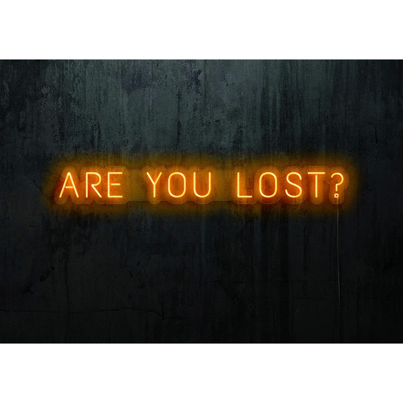 NEON LED ARE YOU LOST,LIGHTSANDWIRES (1)