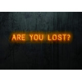 NEON LED ARE YOU LOST,LIGHTSANDWIRES (1)