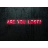 NEON LED ARE YOU LOST,LIGHTSANDWIRES (1)