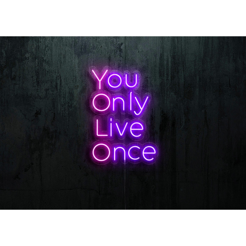 neon led you only live once lightsandwires