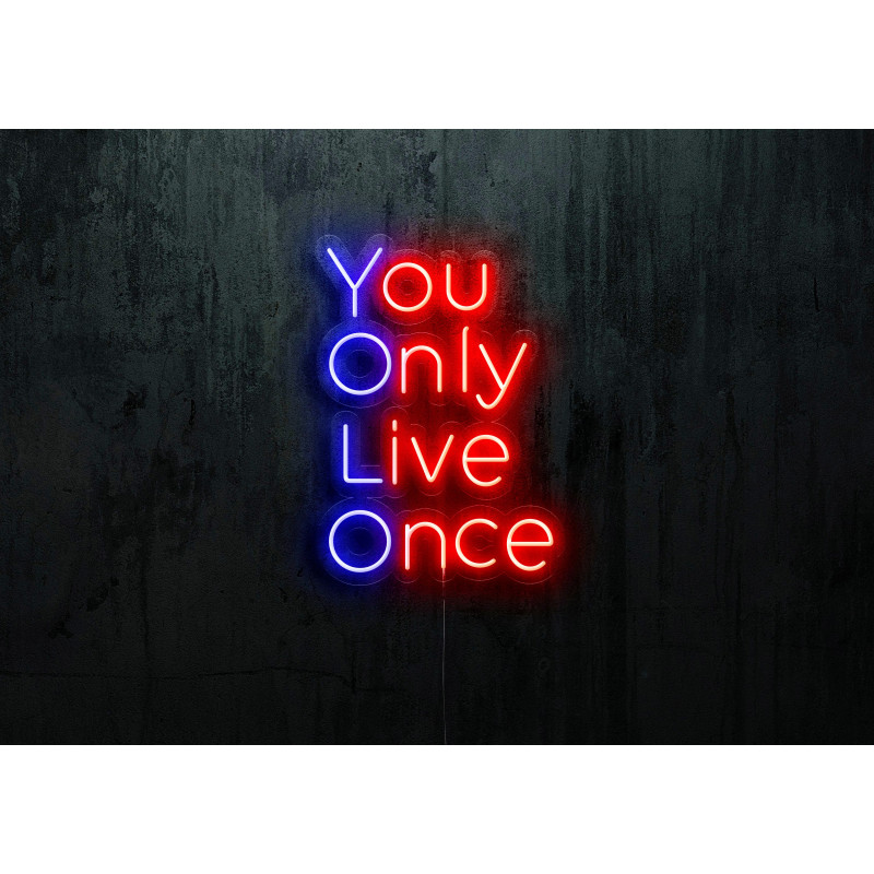 neon led you only live once lightsandwires