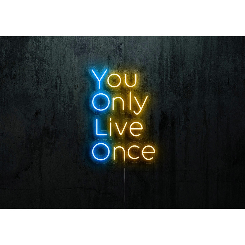 neon led you only live once lightsandwires
