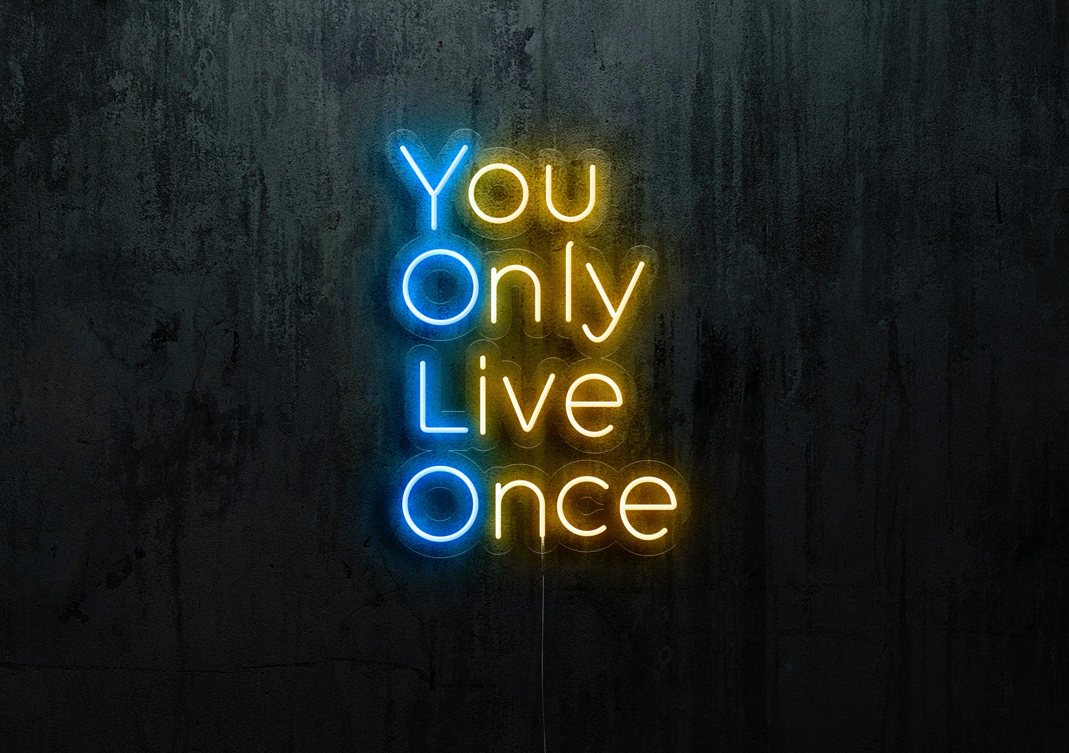 neon led you only live once lightsandwires