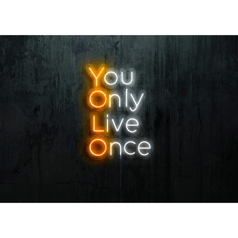 neon led you only live once lightsandwires