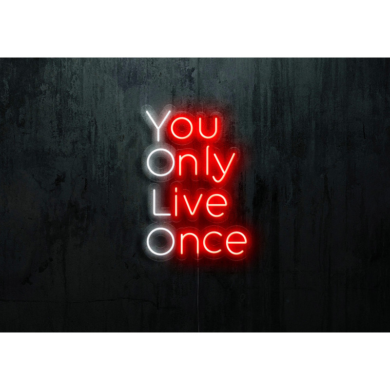 neon led you only live once lightsandwires