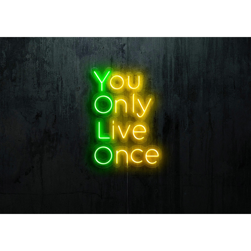 neon led you only live once lightsandwires