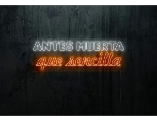 Neón led con corte metacrilato bordeado y tira de neon led flex.
