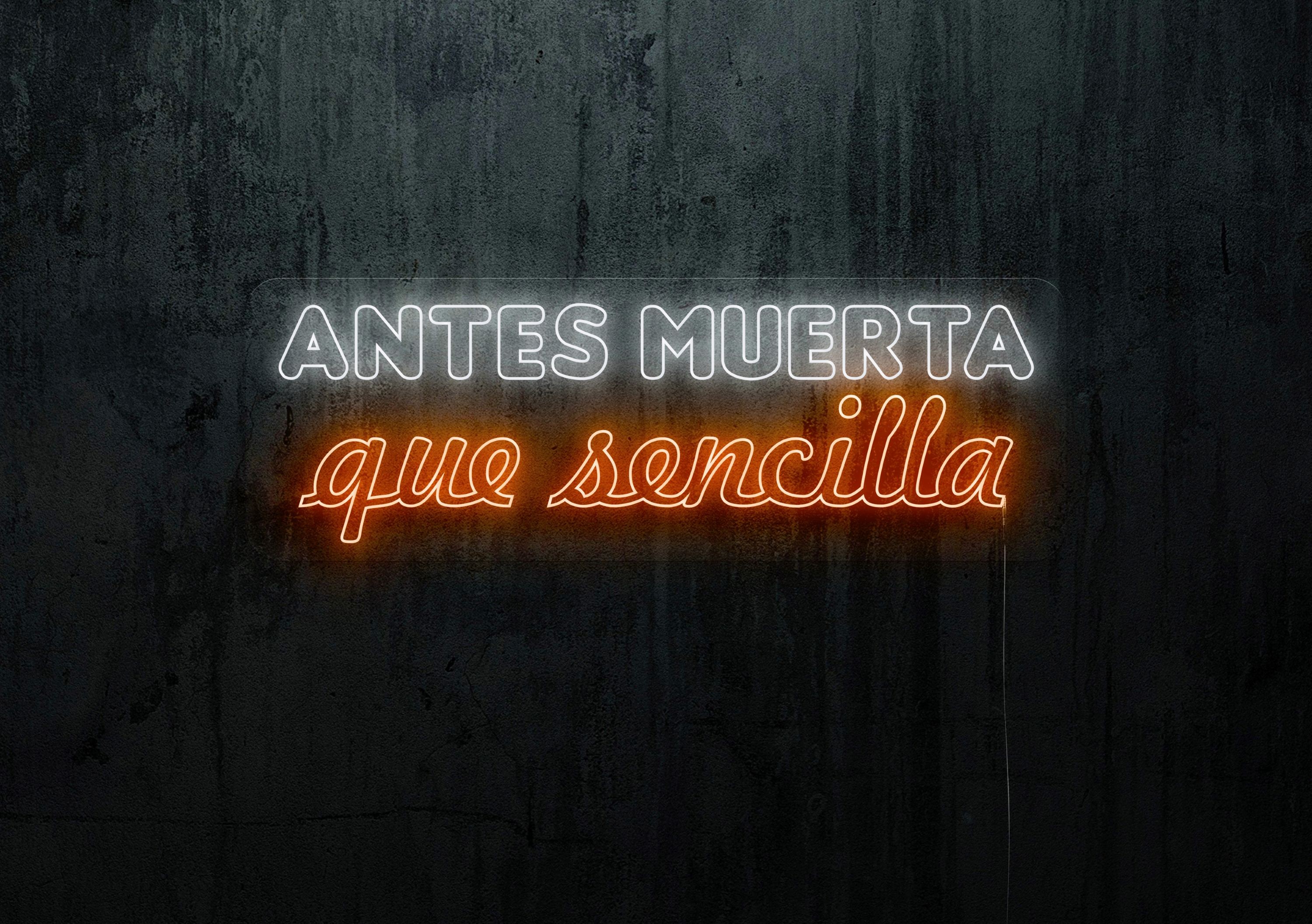 Neón led con corte metacrilato bordeado y tira de neon led flex.
