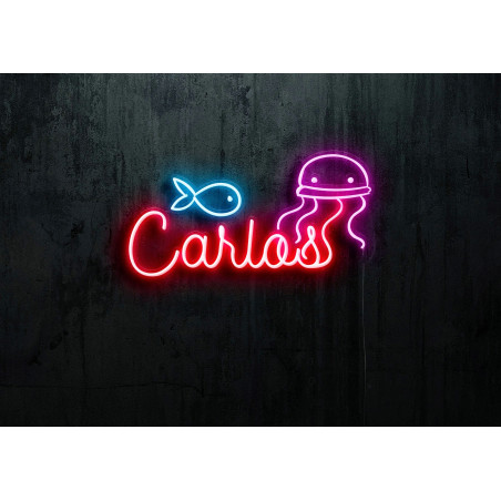 Neón led con corte metacrilato bordeado y tira de neon led Flex. rotulo para la habitación de tu peque