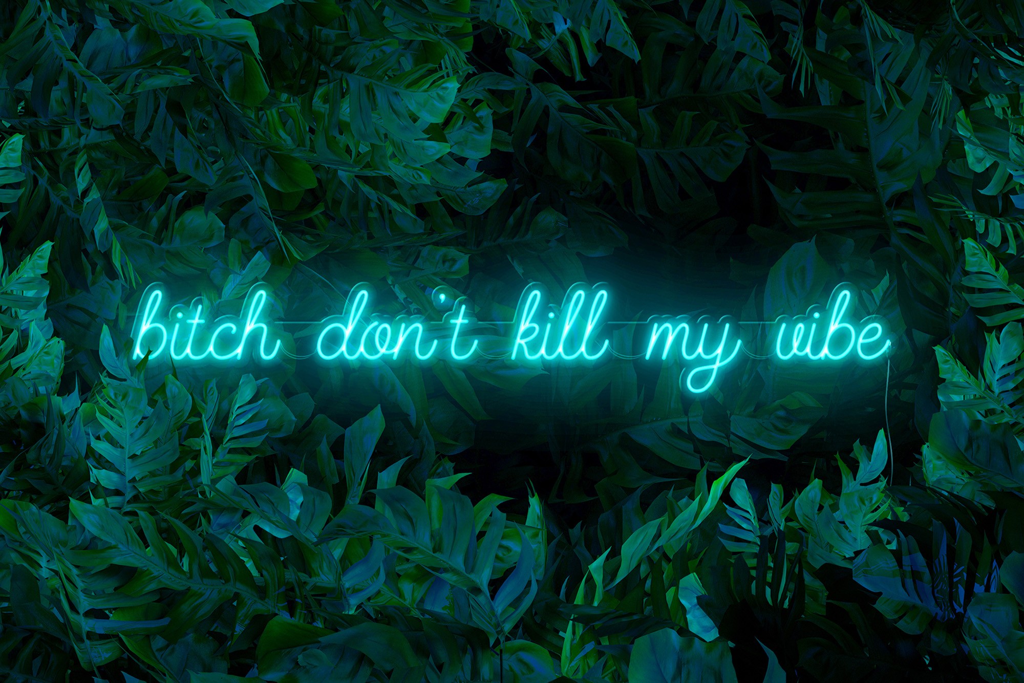 Carteles de neón LED - Luces de neón "Bitch don't kill my vibe"