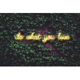 neon led do what you love lightsandwires