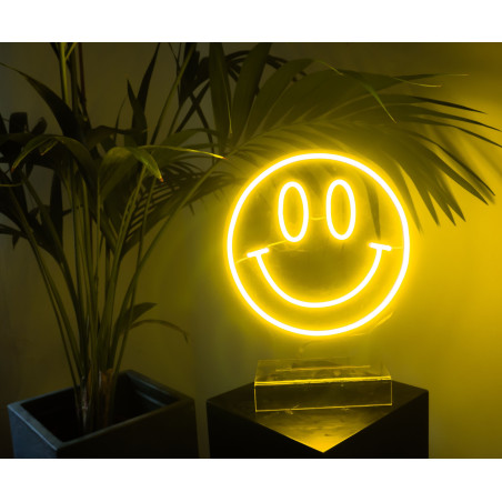 neon led smile