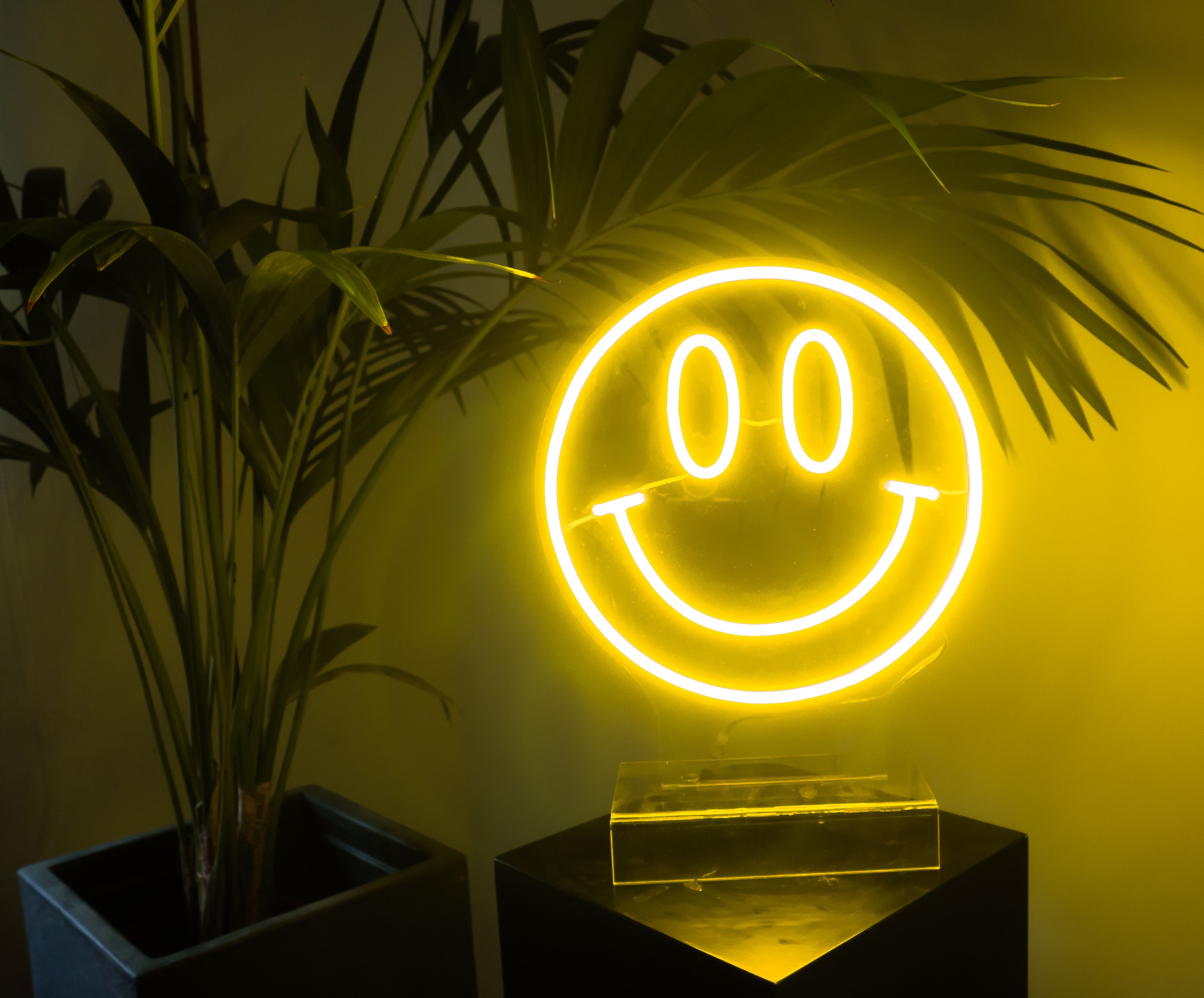 neon led smile