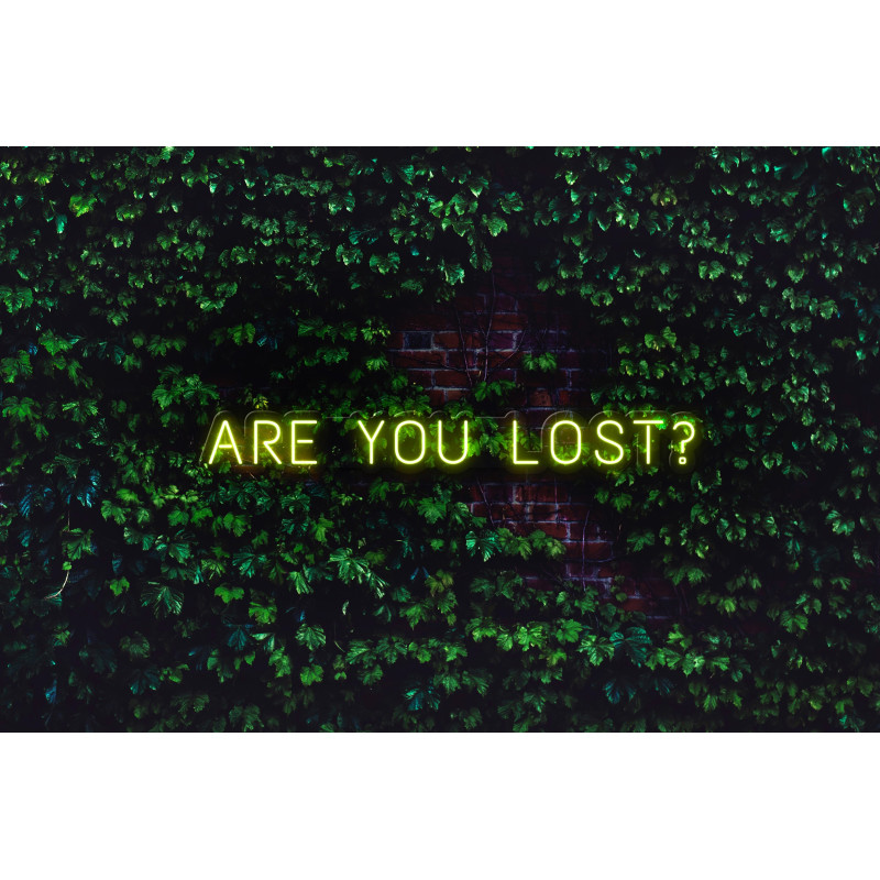 NEON LED ARE YOU LOST,LIGHTSANDWIRES (1)