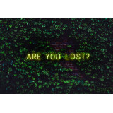 NEON LED ARE YOU LOST,LIGHTSANDWIRES (1)
