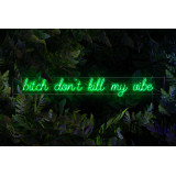 Neon Led "Bitch don´t kill my vibe" lightsandwires