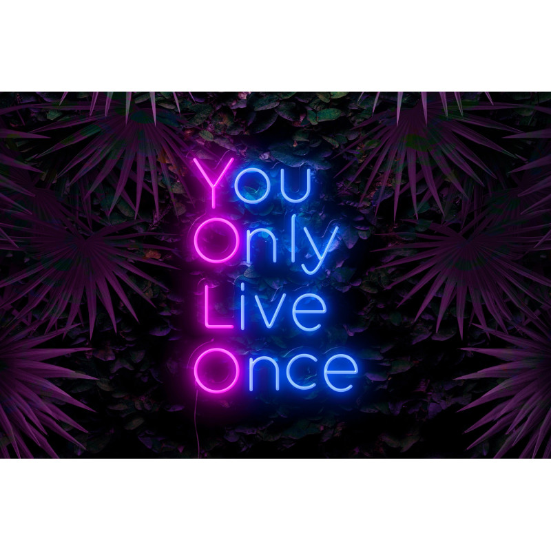 neon led you only live once lightsandwires