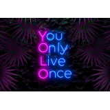 neon led you only live once lightsandwires