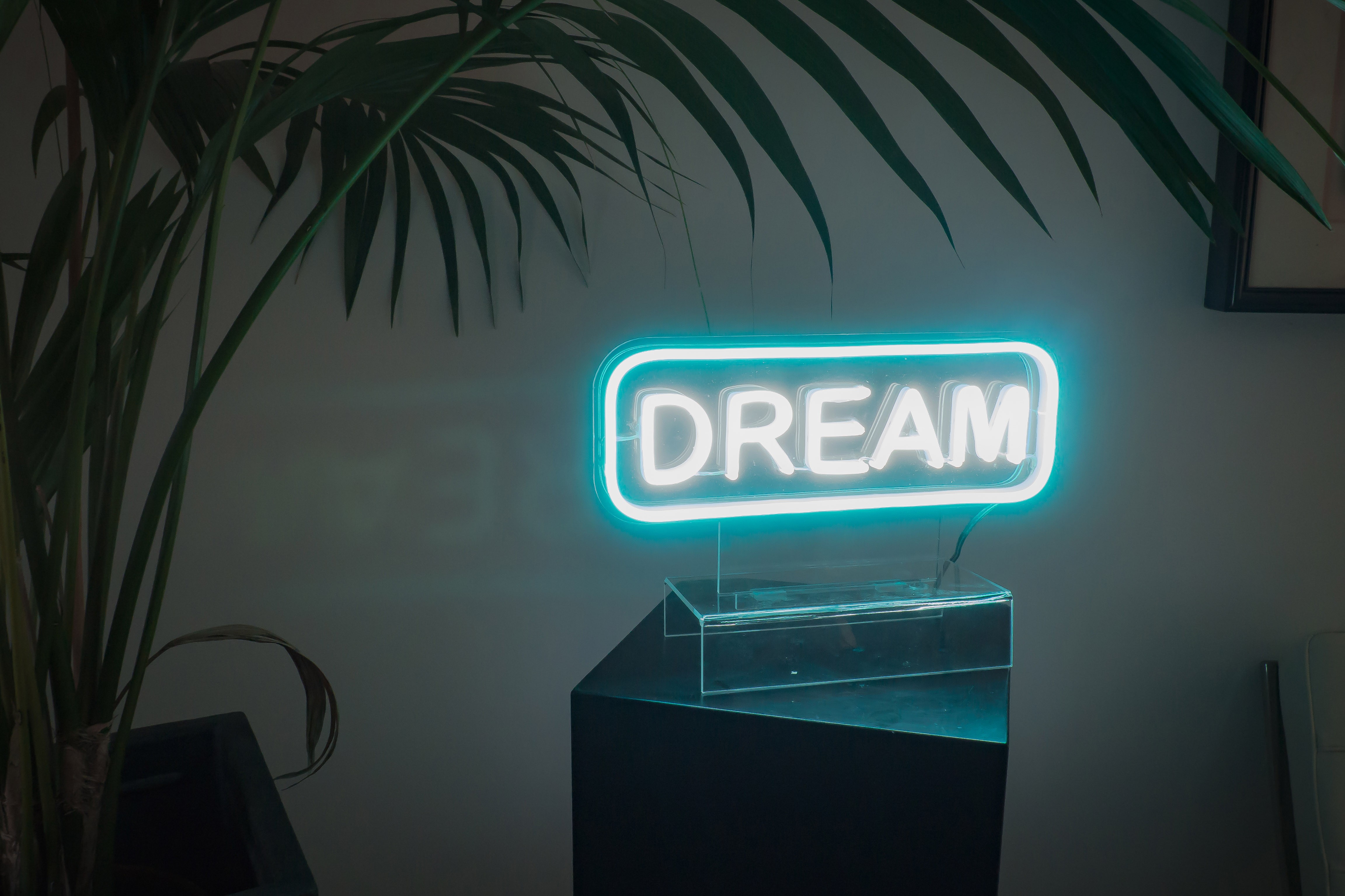 neon led dream