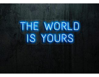 cartel luminoso the world is yours lightsandwires