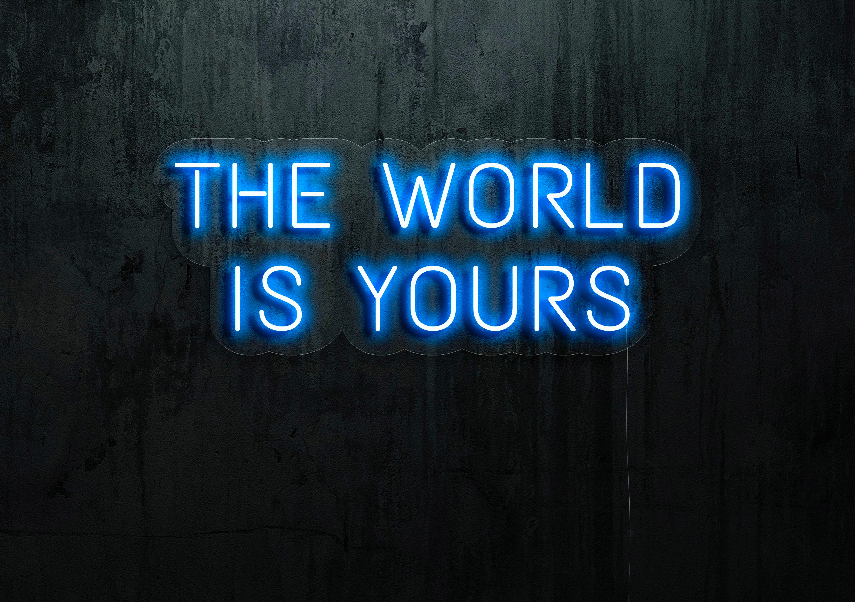 cartel luminoso the world is yours lightsandwires