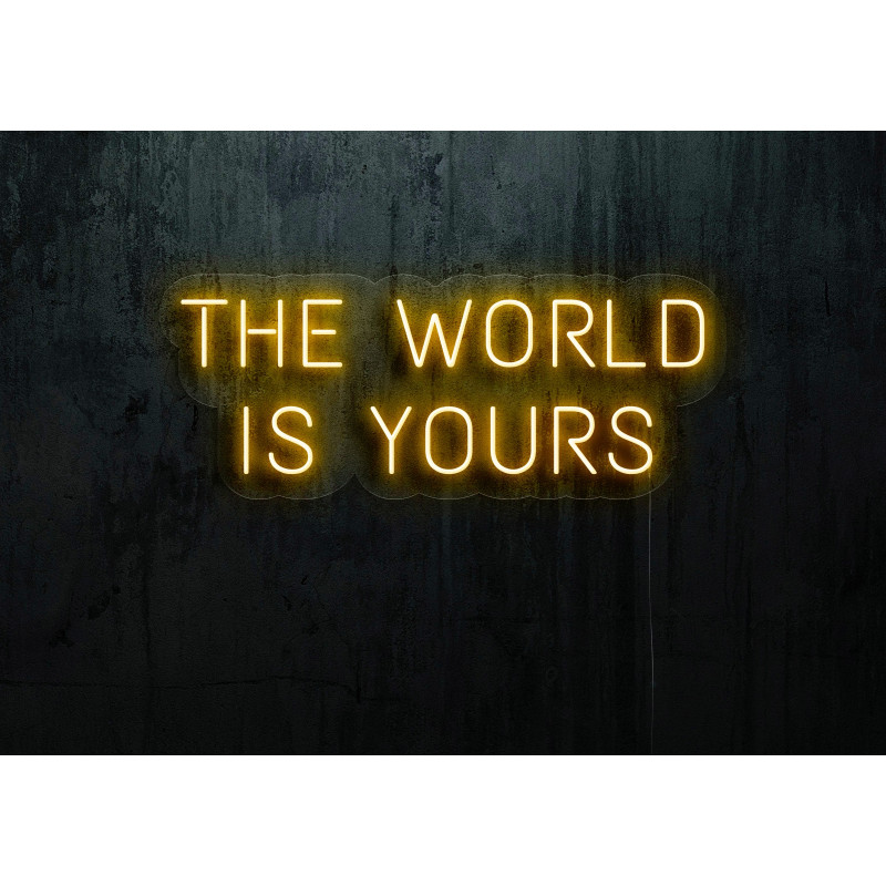 cartel luminoso the world is yours lightsandwires
