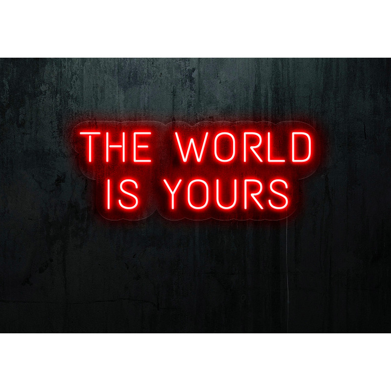 cartel luminoso the world is yours lightsandwires