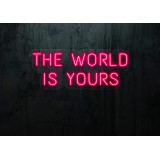 cartel luminoso the world is yours lightsandwires