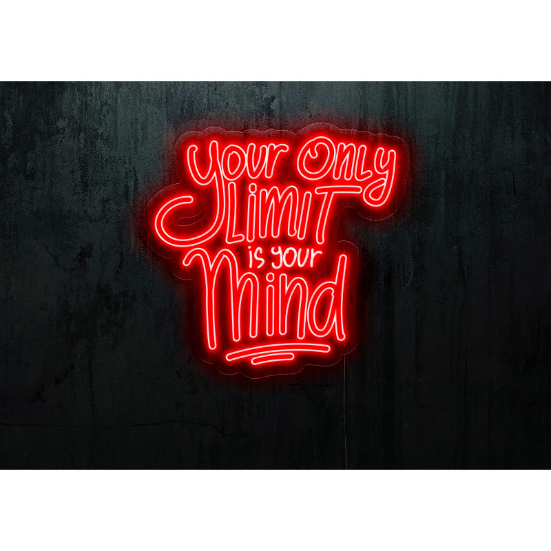 neon led, el limite es tu imaginacion, lightsandwires