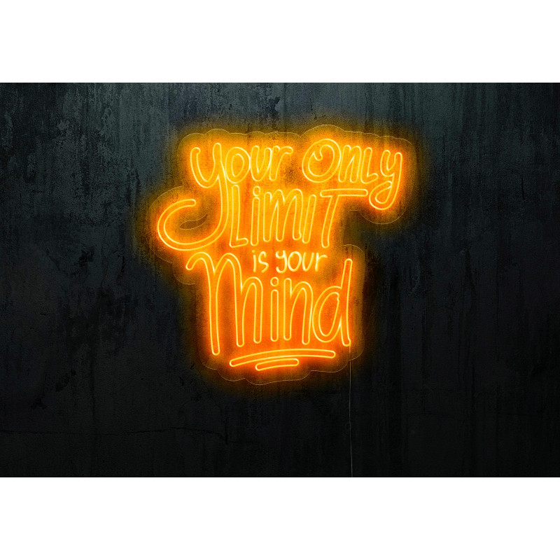 Rotulos de neón LED - Luces de neón "You only live one"