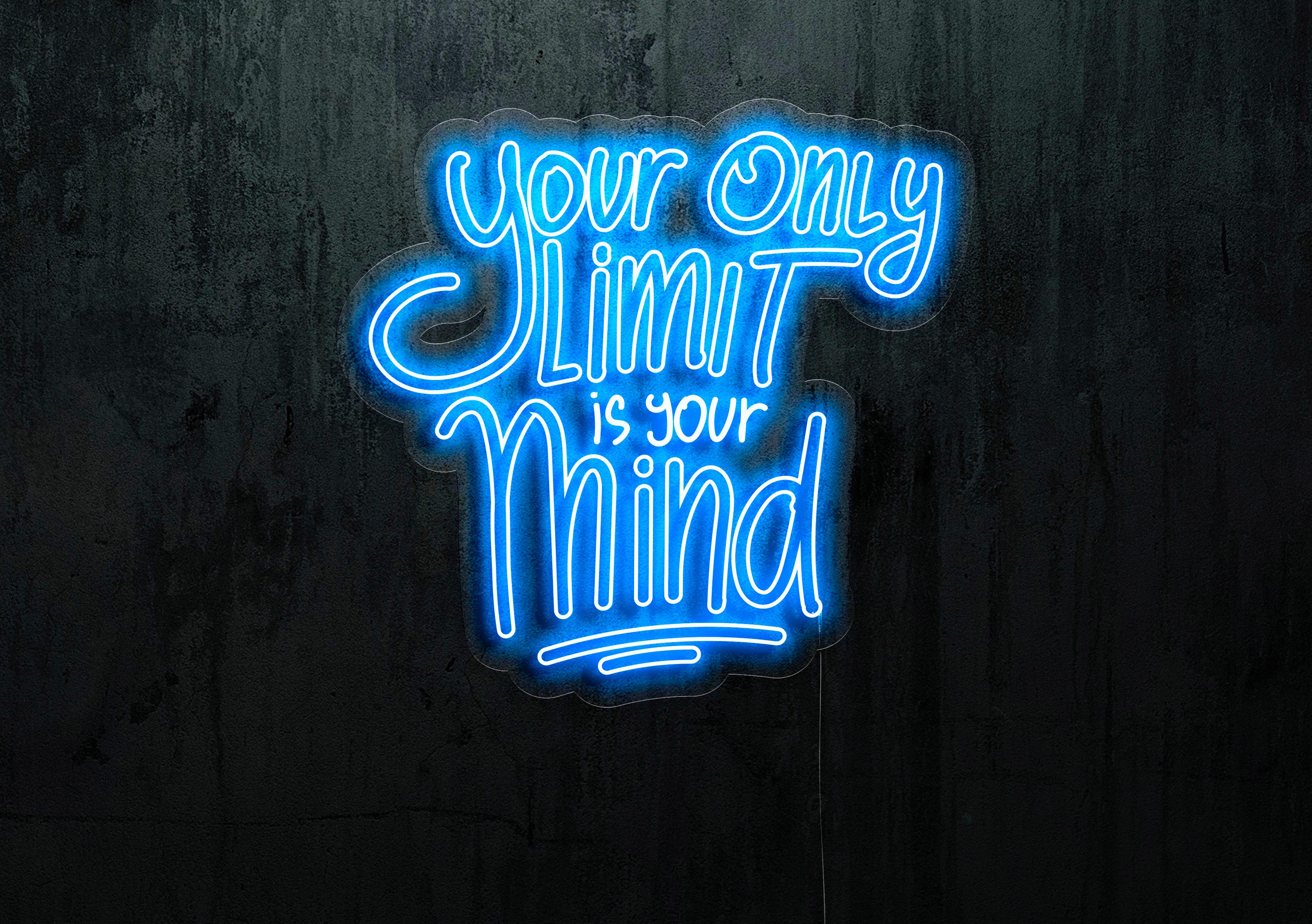 neon led, el limite es tu imaginacion, lightsandwires